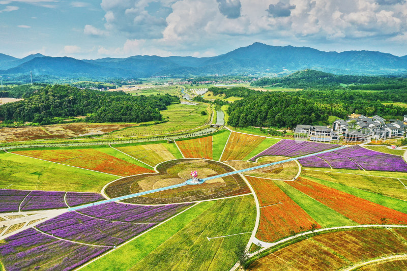 江西景德镇高岭村花海