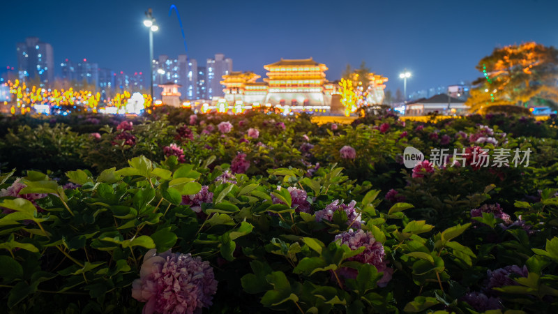 洛阳牡丹花都应天门天堂明堂鲜花盛开