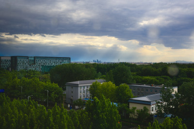 雨中的城市风光