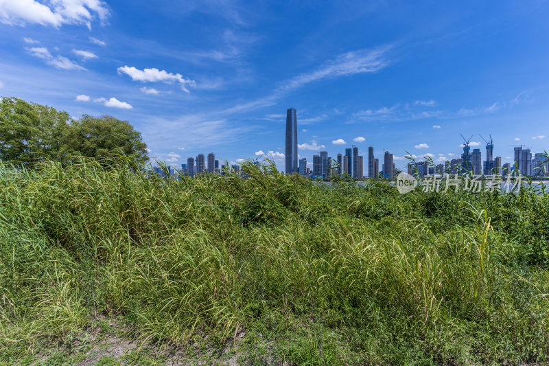 武汉汉口江滩公园风景