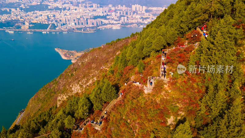 长江三峡巫峡红叶