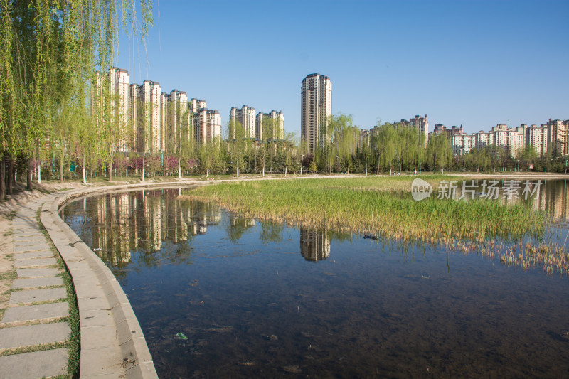 甘肃定西安定区人工湖城市生态湿地公园
