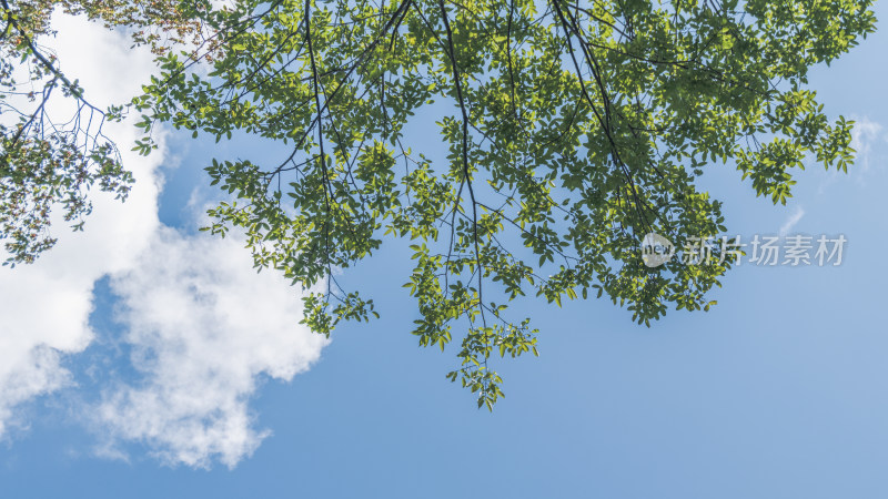 夏季假期天空