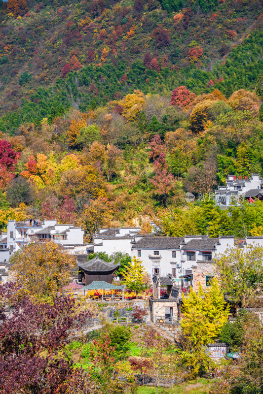 皖南秋色塔川国家森林公园