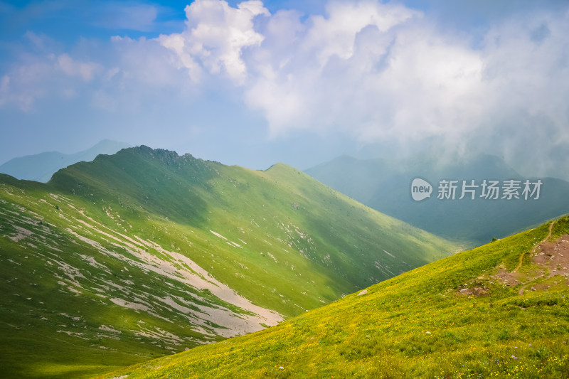 夏天江西武功山的高山草甸