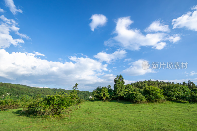 重庆市武隆区仙女山国家森林公园