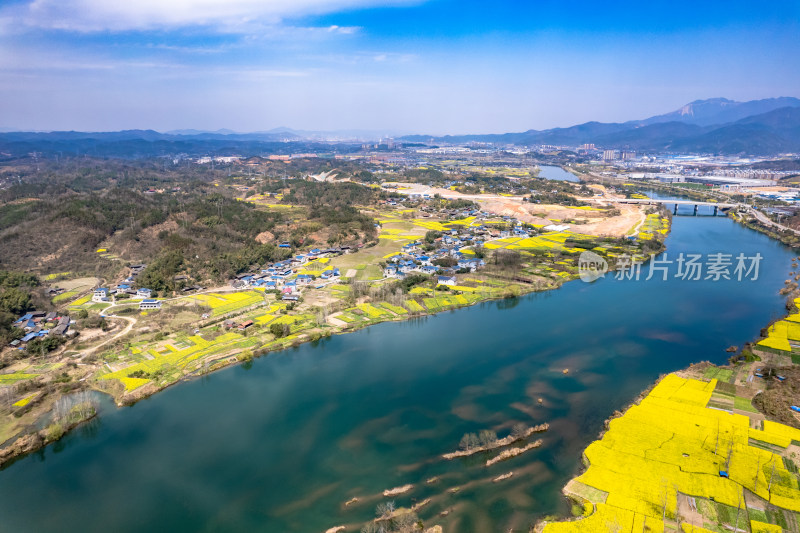 春天乡村田园油菜花航拍图