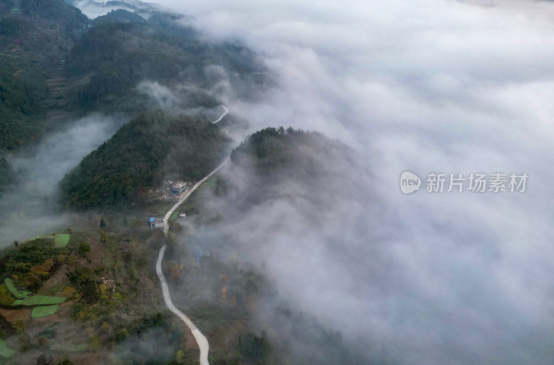 重庆酉阳：大龙村的枫叶红了