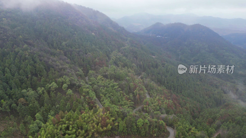 大自然绿色植物森林蜿蜒盘山公路云雾缭绕