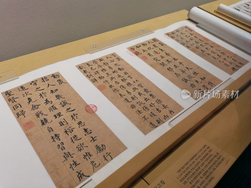 沈度楷书、隶书合卷 明代（1368-1644年）