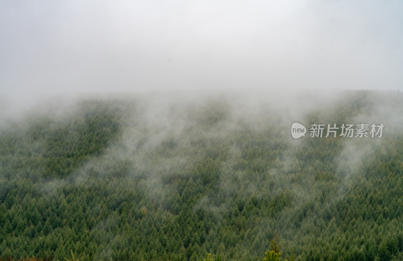 张北草原风光