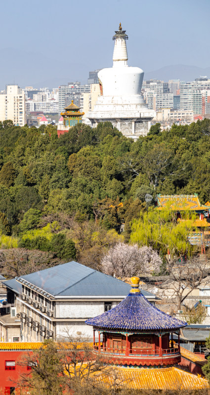 北京景山公园看北海公园后海公园城市景观