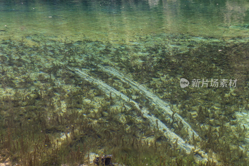 松潘县牟尼沟景区自然山水风光