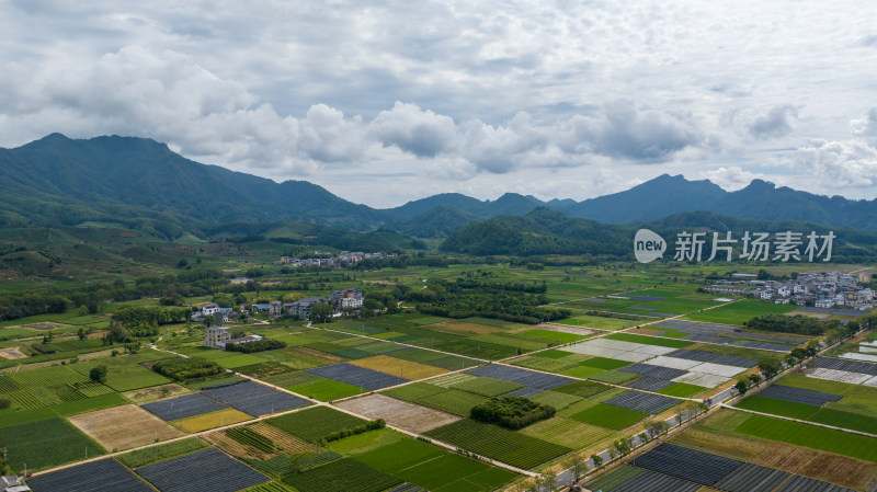 航拍武夷山绿色农田与茶园