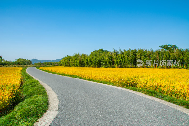 杭州良渚古城遗址公园金秋田园风光