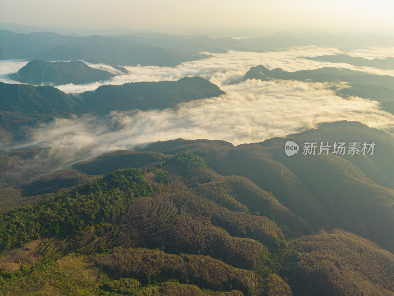 航拍日出时的高山和云海自然风光