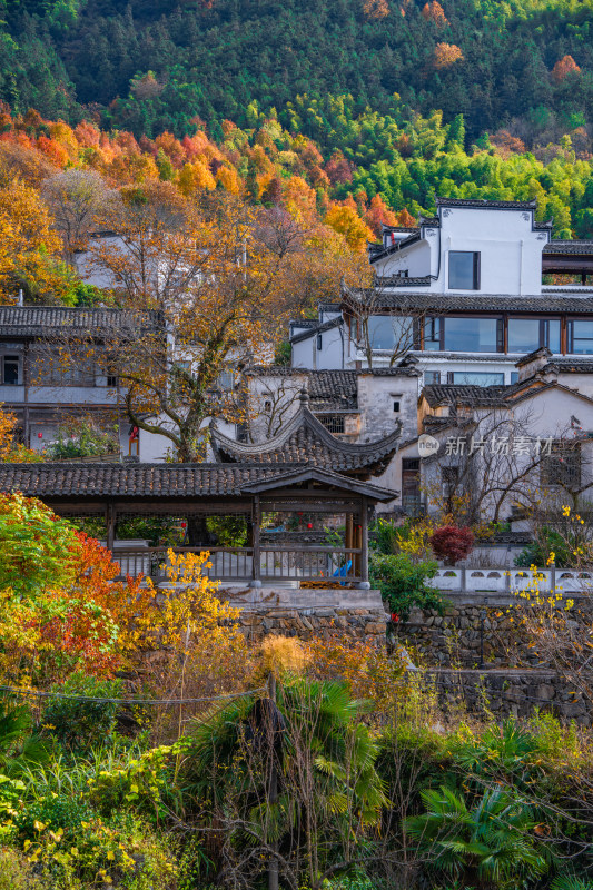 皖南秋色塔川国家森林公园