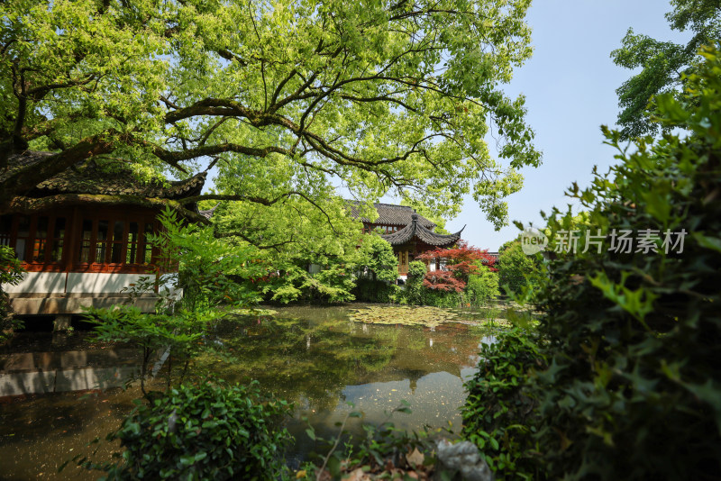 杭州西湖郭庄园林景观