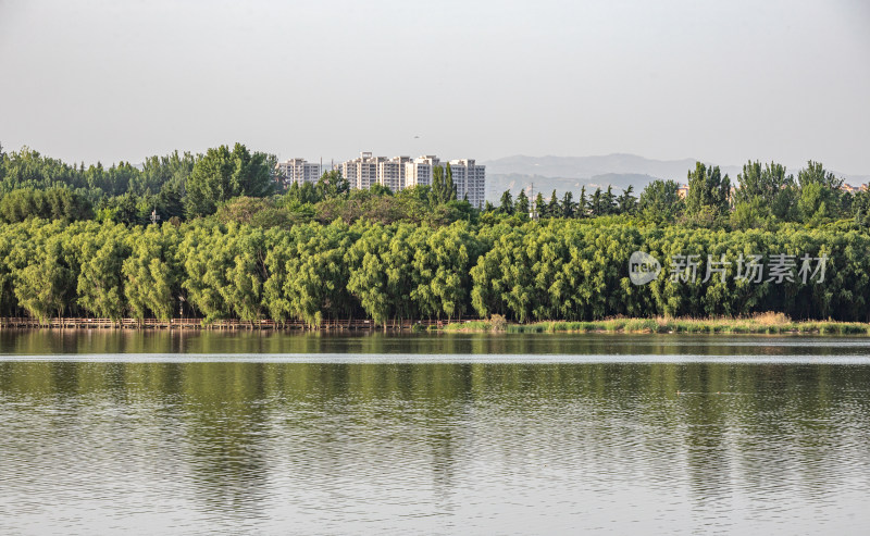 河南三门峡陕州公园天鹅湖景点景观