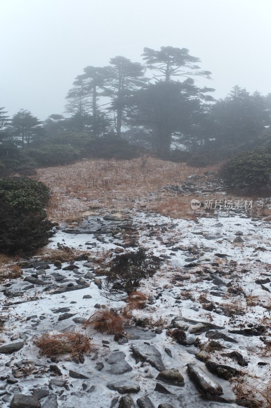 大理苍山洗马潭景区