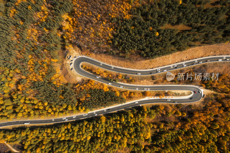 航拍河北承德塞罕坝机械林场公路风光