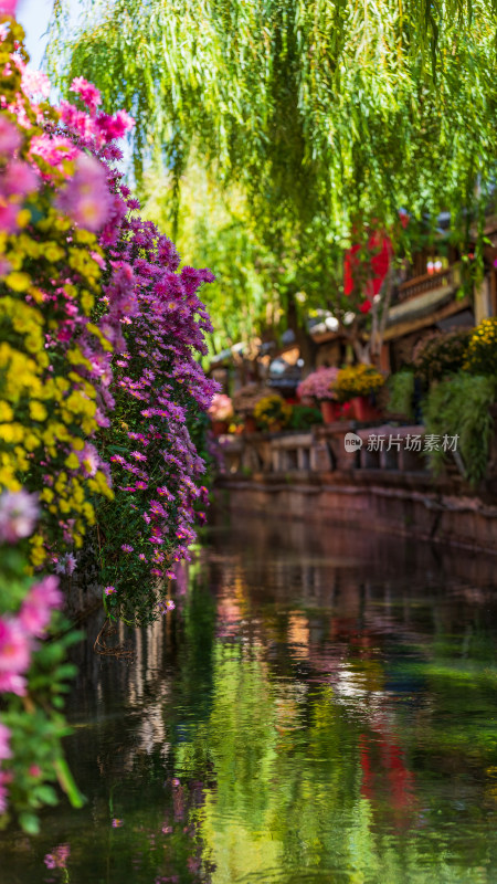 丽江古城黑龙潭景