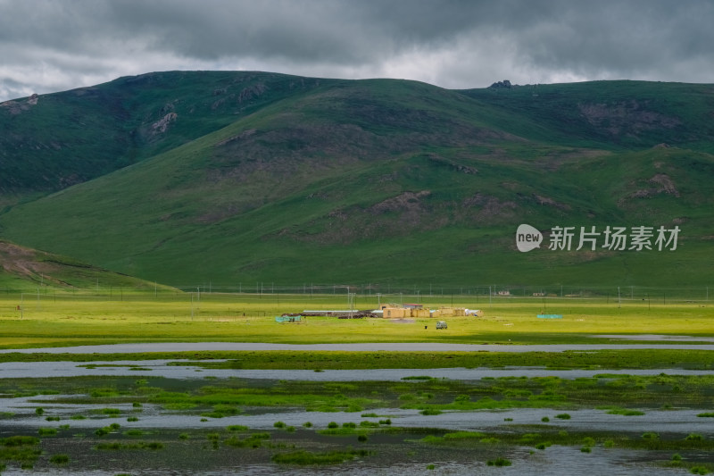 青海草原风光