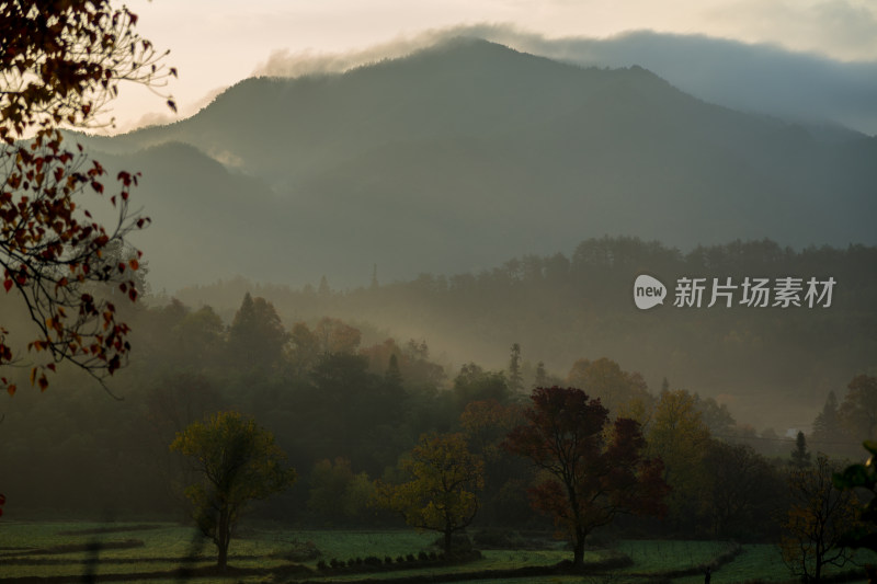 深秋时节的塔川