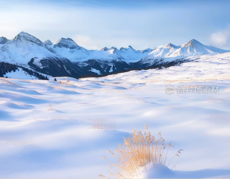 冬季高山雪山