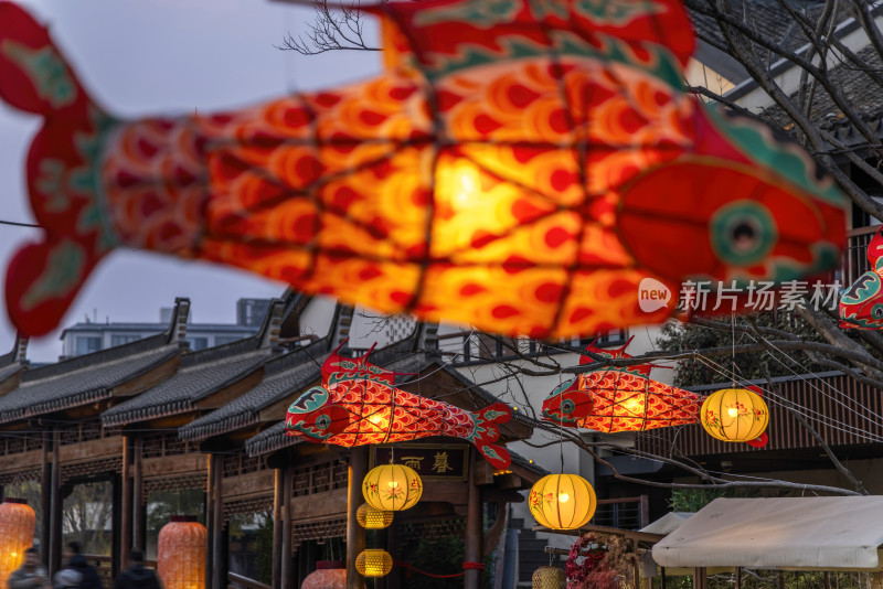 鱼灯笼花灯春节新年节日夜晚上海蟠龙天地