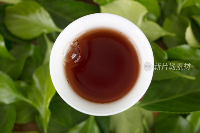 一杯茯茶在绿色叶子背景上