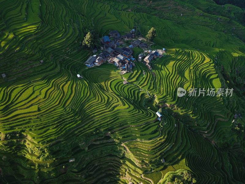 贵州黔东南从江县加榜梯田田园风光