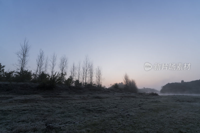 日出时分的旷野与树木风景