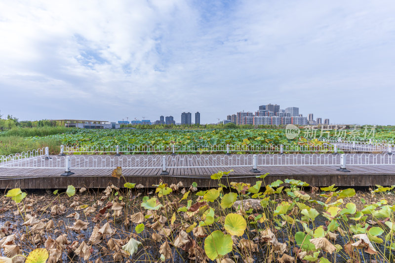 武汉江夏中央大公园风景