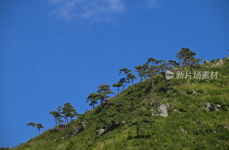 蓝天下的大山