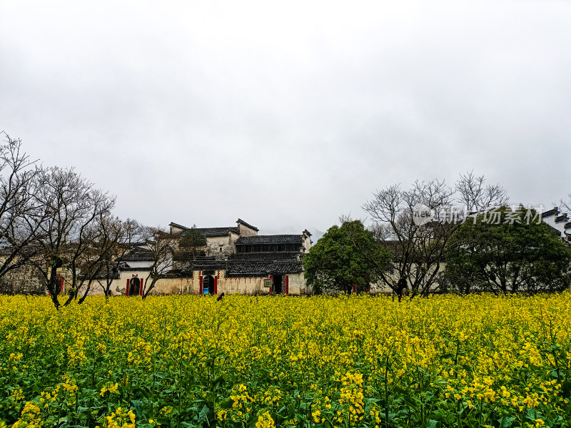 安徽黄山市黟县5A景区雨中的西递古镇