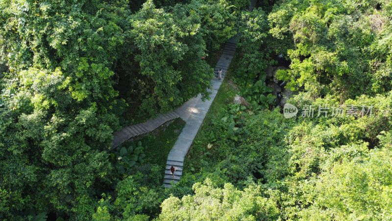 广东东莞银瓶山森林公园清溪景区登山步道