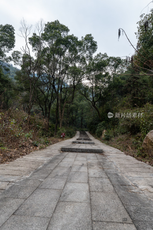 山林间的石板步道