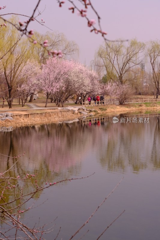 风景系列