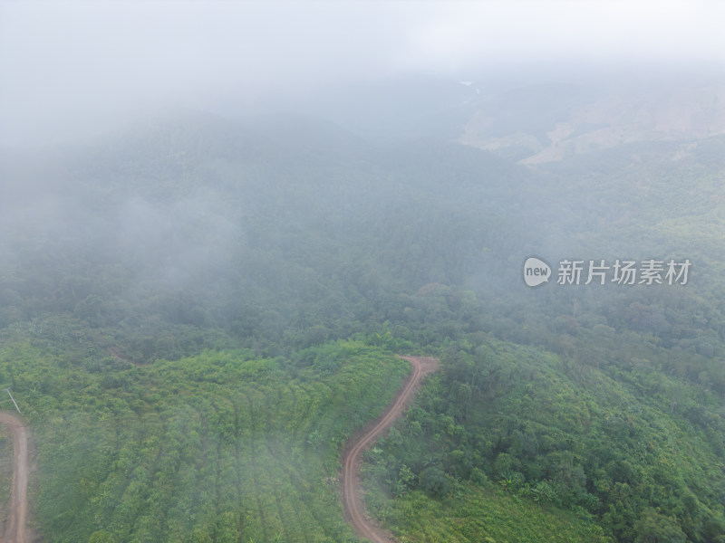 云雾笼罩下的葱郁山林鸟瞰全景