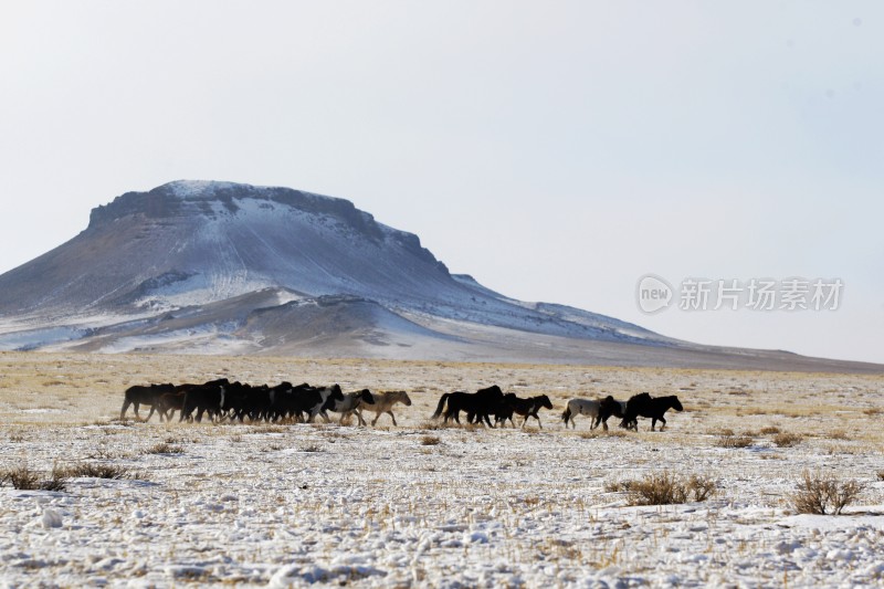 成吉思宝格都山