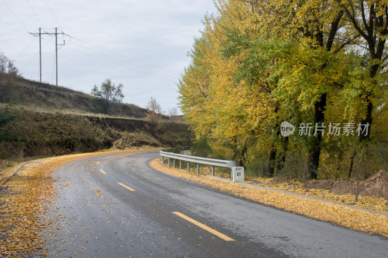 秋天的乡村公路