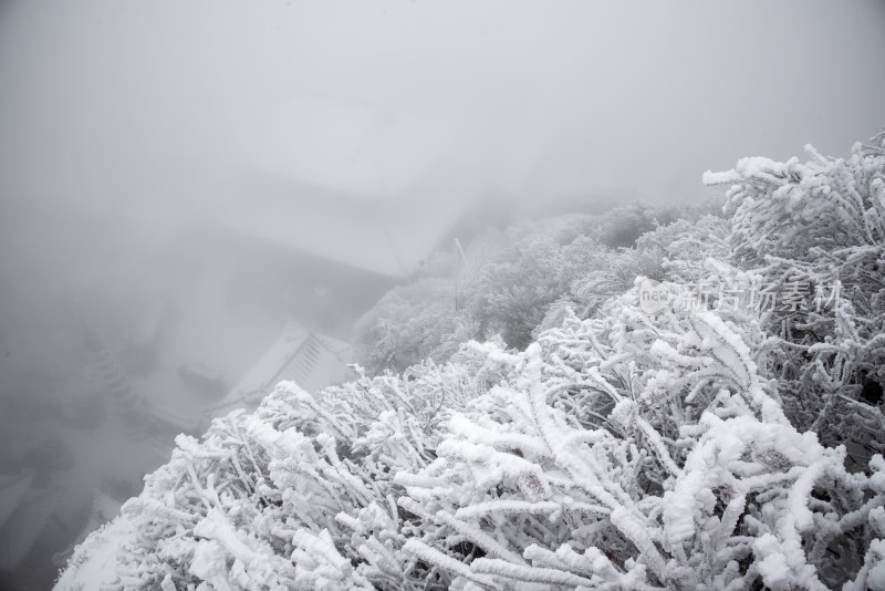 寒冷冬天大雪迷雾中的老君山