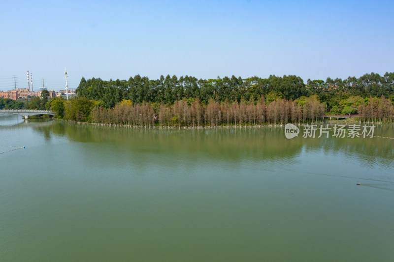 华阳湖国家湿地公园