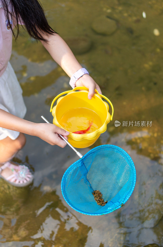 小女孩手持小桶和网兜在水中玩耍