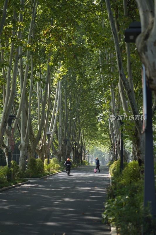 东湖磨山景区2