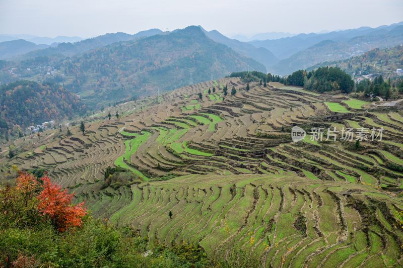 重庆酉阳：丁市镇农旅结合展新颜