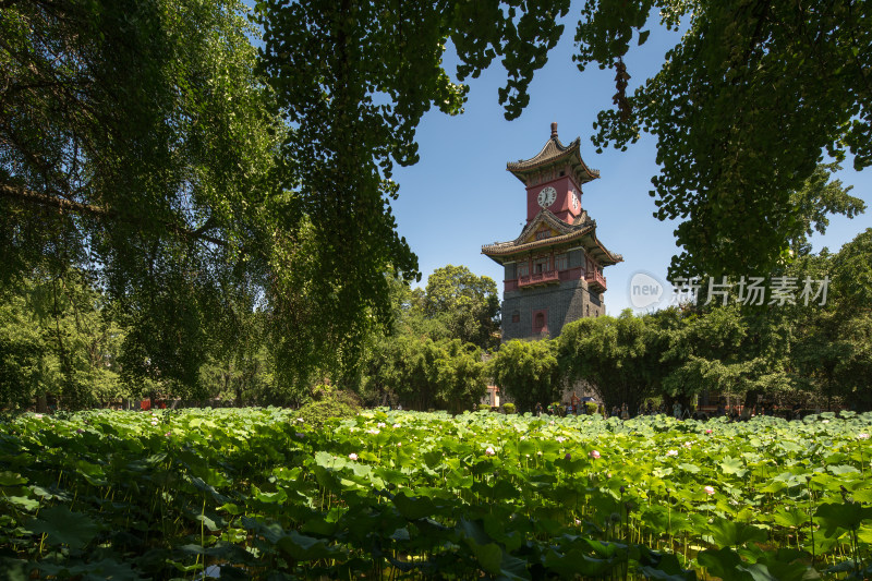 四川大学风光