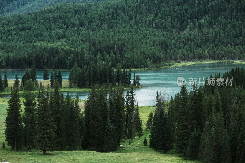 森林环绕下的碧绿湖泊自然风景