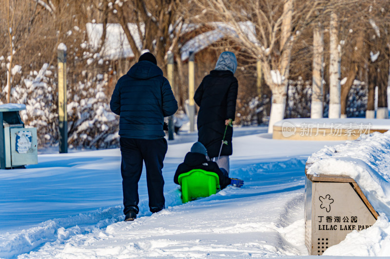 丁香湖公园内人们玩雪橇的欢乐场景